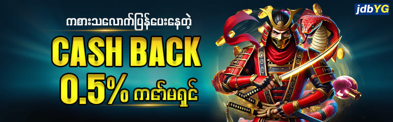 Cash Back 0.5 %